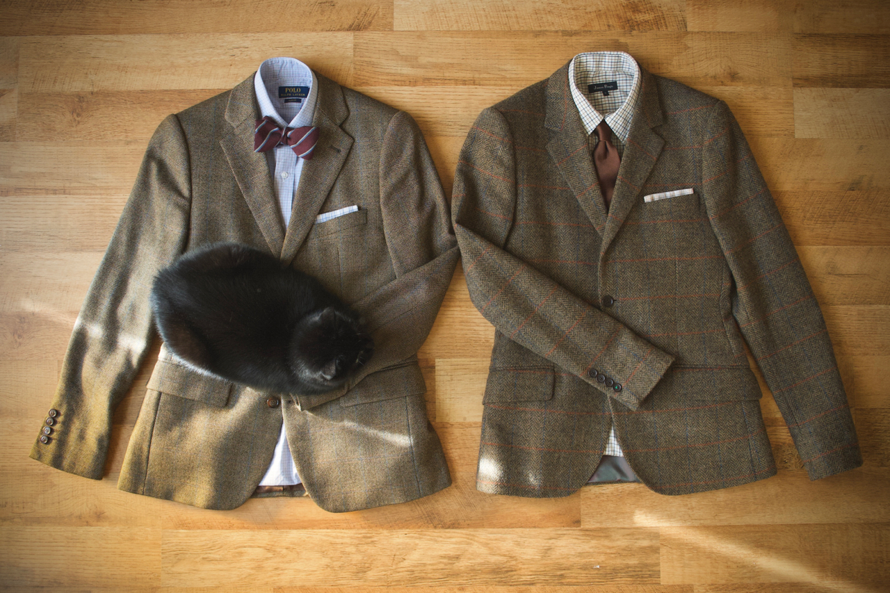 gentlemanstyle-tweed-cat-macska-fun