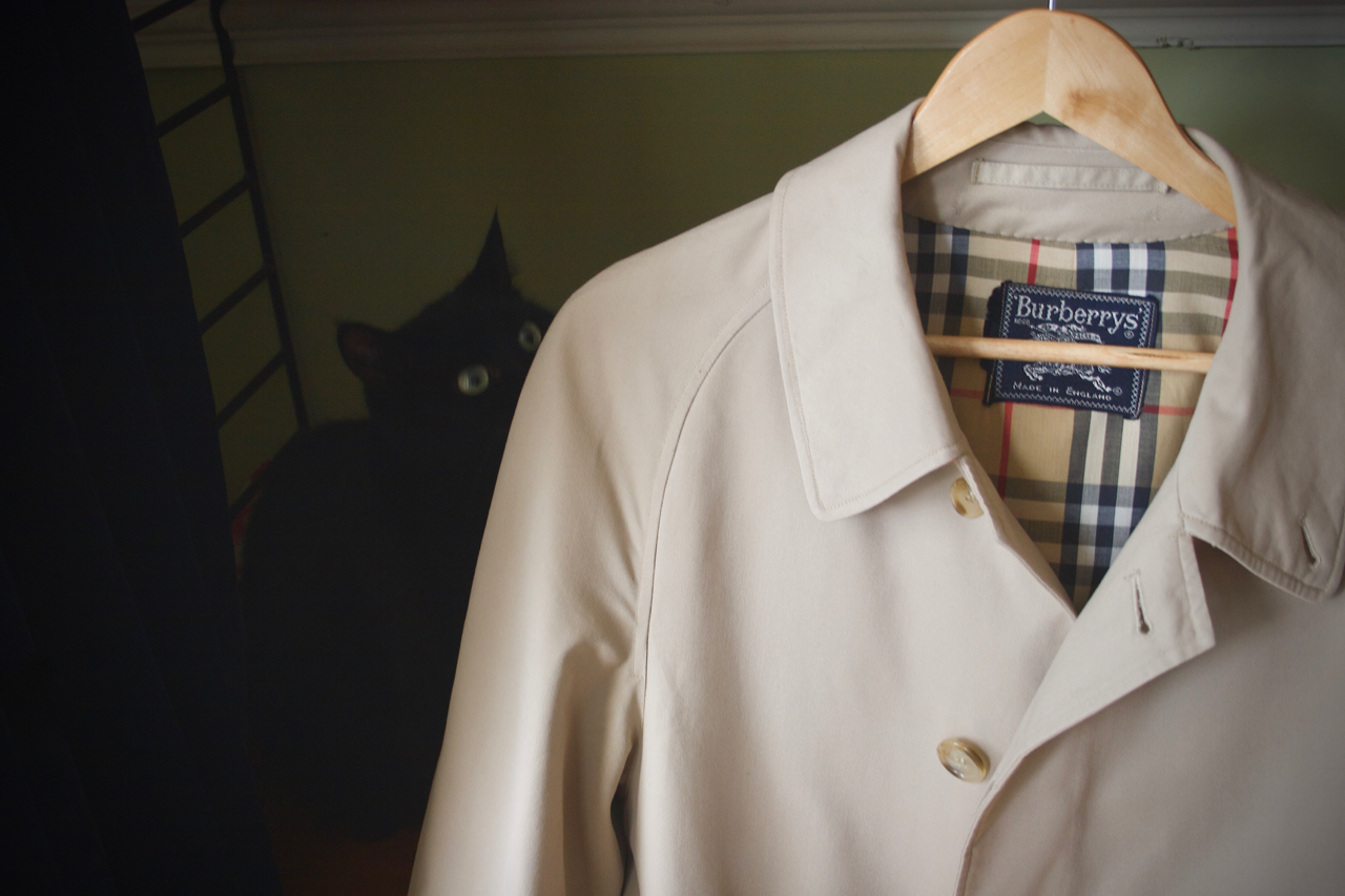 cica-macska-burberry-trench-coat-kabat-gentleman-style